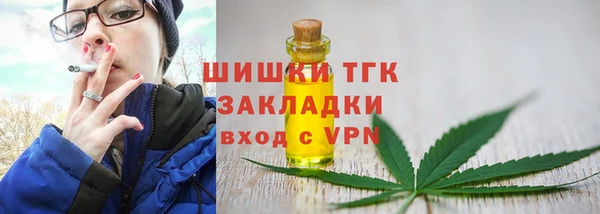 сатива Богородск