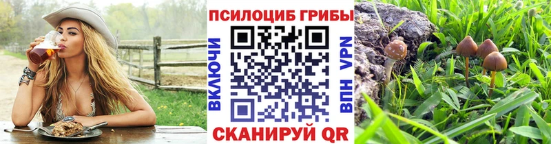 продажа наркотиков Котово Галлюциногенные грибы мухоморы